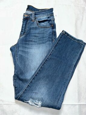 Judy Blue distressed boyfriend fit denim pants size 3/26